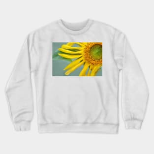 Floral Pinwheel Crewneck Sweatshirt